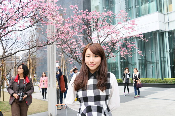 松壽廣場公園：<台北|信義>信義商圈粉紅小確幸櫻花林~松高路與松高路交叉口*松壽廣場公園*捷運市政府站