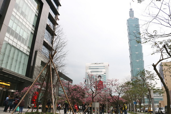 松壽廣場公園：<台北|信義>信義商圈粉紅小確幸櫻花林~松高路與松高路交叉口*松壽廣場公園*捷運市政府站