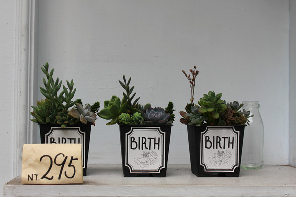 泡卡芙 Puff Cafe'：[台南]老屋X早午餐X酒吧 泡卡芙 Puff Cafe'