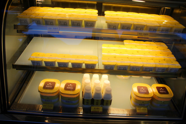 Forest Yogurt 森霖優格：［台南］優格霜淇淋＋蛋糕＝新散步甜食  Forest Yogurt 森霖優格