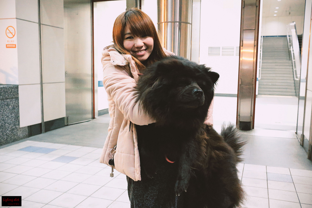 小狗台北街頭交朋友的那一夜