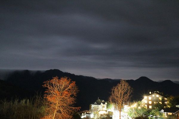 清境，合法民宿，莫內花園民宿，貓貓民宿