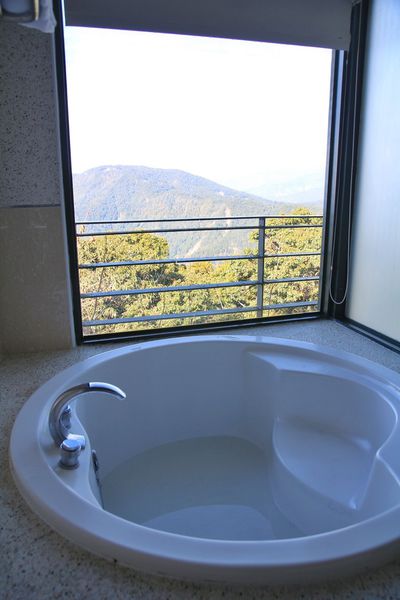 清境，合法民宿，莫內花園民宿，貓貓民宿