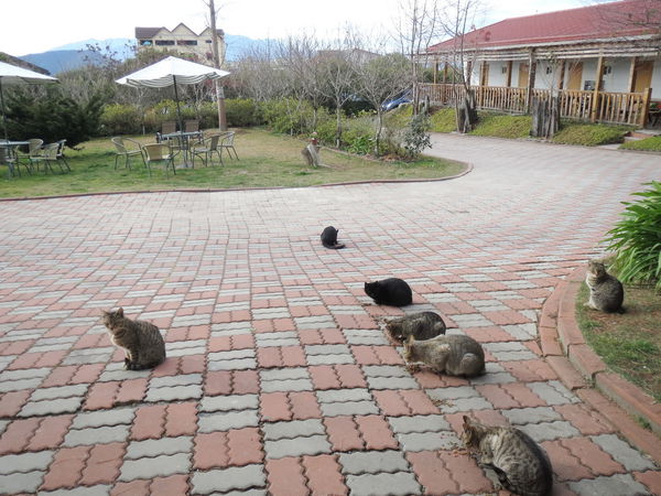 清境莫內花園山莊