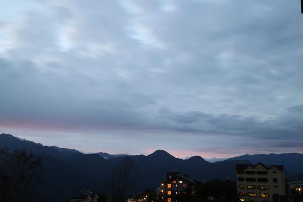 清境，合法民宿，莫內花園民宿，貓貓民宿