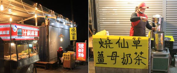 清境，合法民宿，莫內花園民宿，貓貓民宿