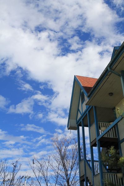 清境，合法民宿，莫內花園民宿，貓貓民宿