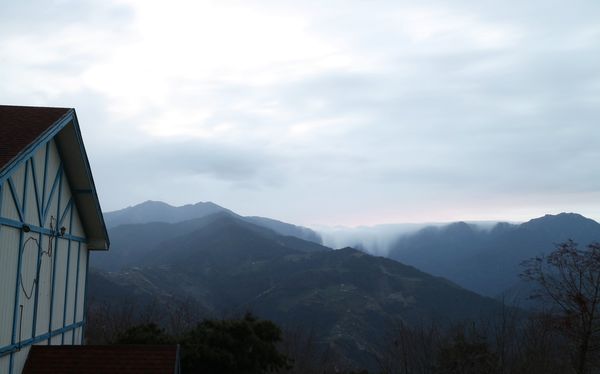 清境，合法民宿，莫內花園民宿，貓貓民宿