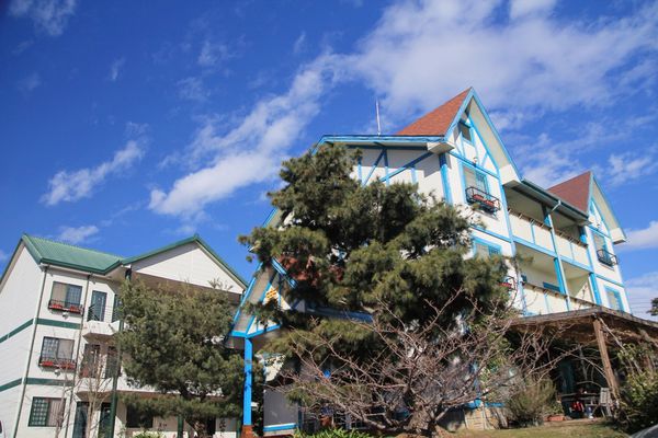 清境，合法民宿，莫內花園民宿，貓貓民宿