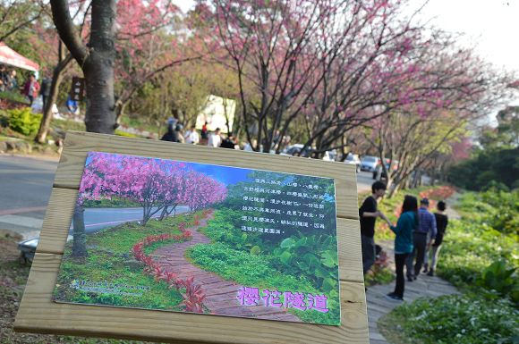 北投櫻花隧道04