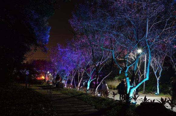 北投櫻花隧道38