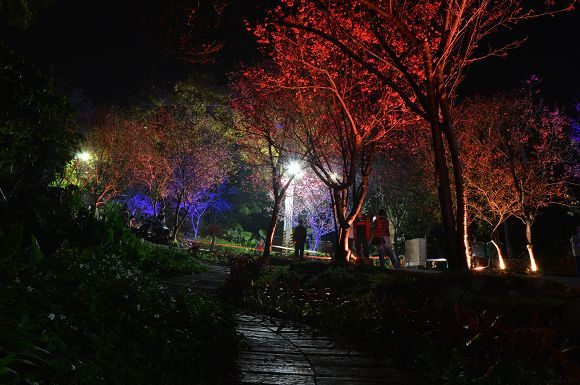 北投櫻花隧道44