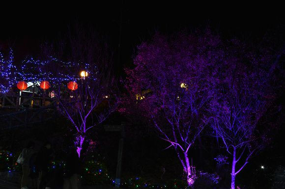 北投櫻花隧道32