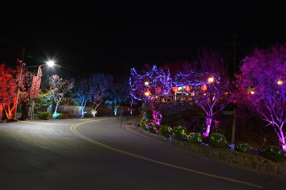 北投櫻花隧道31