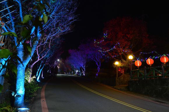 北投櫻花隧道34