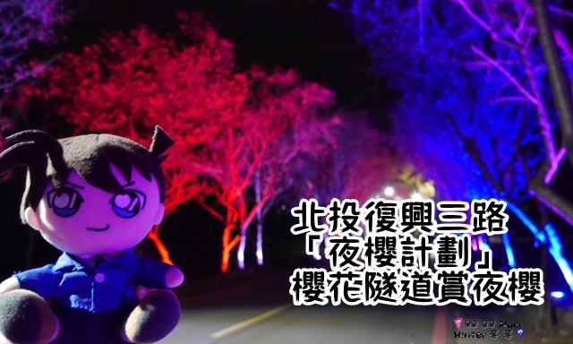 櫻花隧道夜櫻