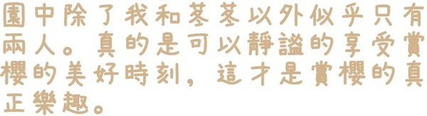 騰龍御櫻：【新北◍•ᴗ•◍新店】賞花・騰龍御櫻賞吉野櫻✯文山木柵貓空賞櫻景點｜漫山遍野櫻花林秘境[吉野櫻]
