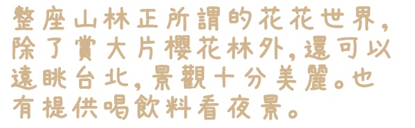 騰龍御櫻：【新北◍•ᴗ•◍新店】文山木柵老泉里✯私房景點・騰龍御櫻賞櫻｜漫山遍野櫻花林秘境[白色霧社山櫻、郁李、河津櫻、八重櫻]