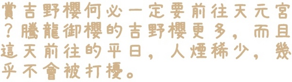 騰龍御櫻：【新北◍•ᴗ•◍新店】賞花・騰龍御櫻賞吉野櫻✯文山木柵貓空賞櫻景點｜漫山遍野櫻花林秘境[吉野櫻]