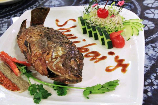 清境水擺夷民宿餐廳,奇珍包料魚,清境高麗菜,酸木瓜湯,雲南椒麻雞