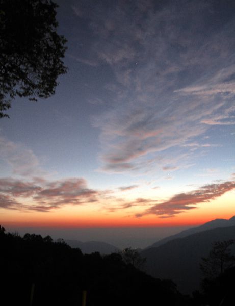 清境水擺夷民宿餐廳,奇珍包料魚,清境高麗菜,酸木瓜湯,雲南椒麻雞