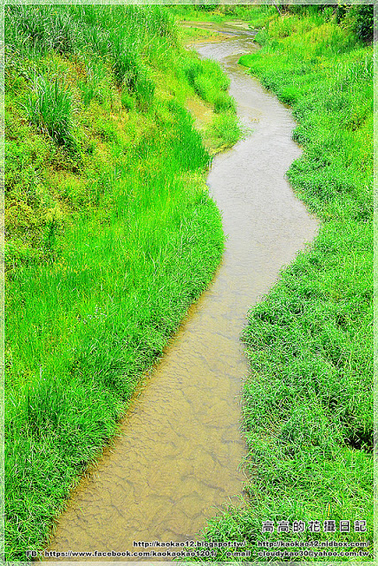 新光里北寮老街彩繪村:【臺南】關廟區。北寮老街 新光里彩繪村