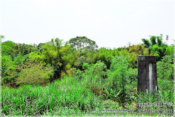 新光里北寮老街彩繪村:【臺南】關廟區。北寮老街 新光里彩繪村