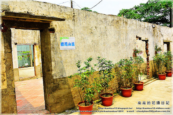 新光里北寮老街彩繪村:【臺南】關廟區。北寮老街 新光里彩繪村