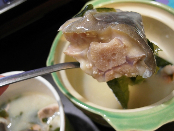 小椿食堂:【台南||中西區】小椿食堂──平價美味、份量實在的日式家庭料理!