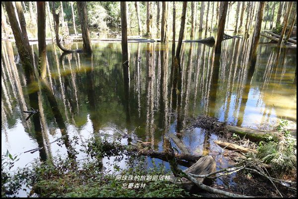 忘憂森林24.JPG
