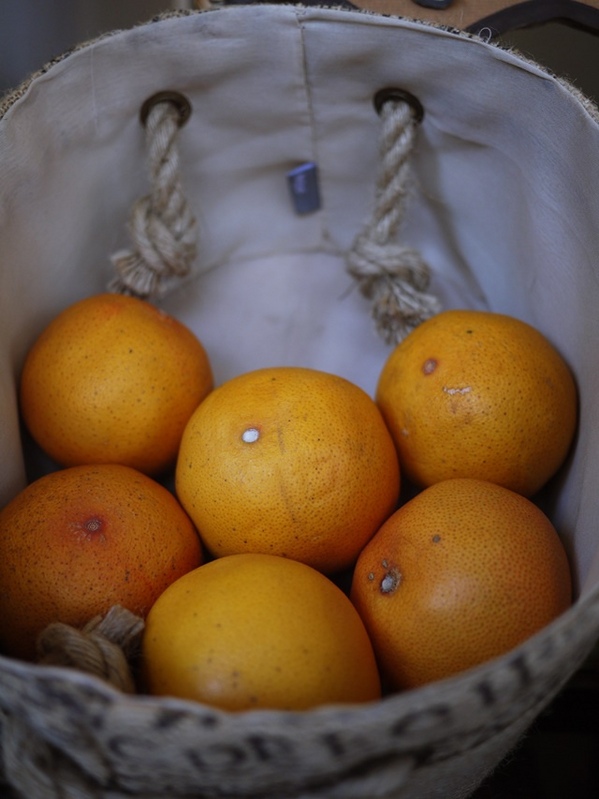 沐茗MOOD MOVING(新北三重五華店):食。飲品-手搖杯。如沐春風的新鮮滋味 嚴選天然蔬果+VIP級鮮奶 打造完美比例健康飲品-沐茗MOOD MOVING