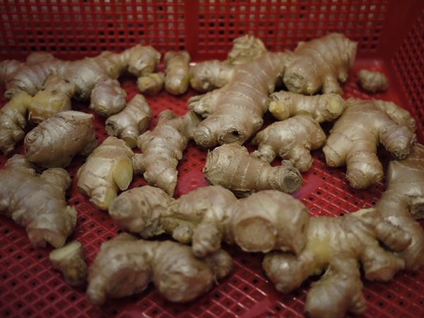 沐茗MOOD MOVING(新北三重五華店):食。飲品-手搖杯。如沐春風的新鮮滋味 嚴選天然蔬果+VIP級鮮奶 打造完美比例健康飲品-沐茗MOOD MOVING