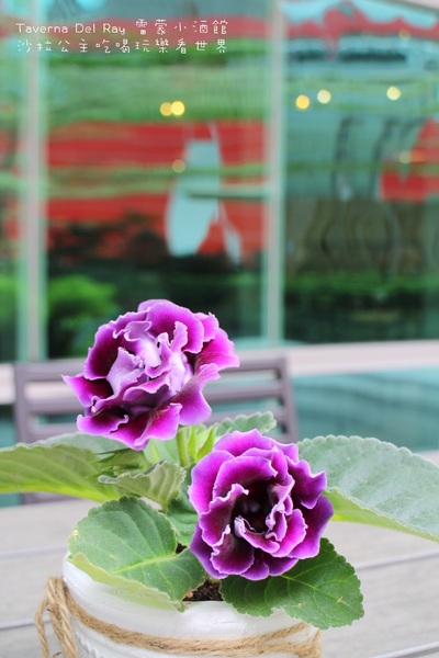 雷蒙小酒館Taverna Del Ray：內湖科技園區『雷蒙小酒館Taverna Del Ray』陽光村菠啾花園旁
