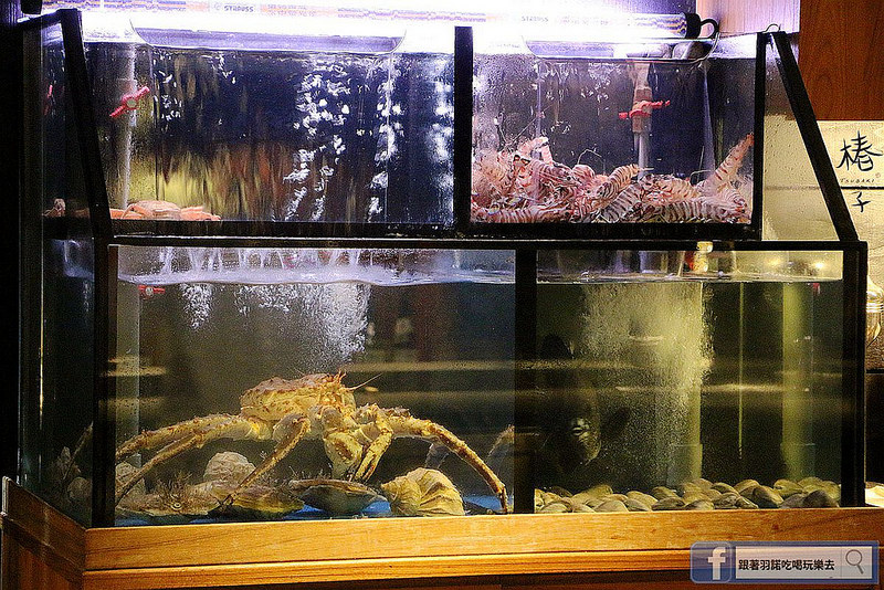 椿子日式料亭114