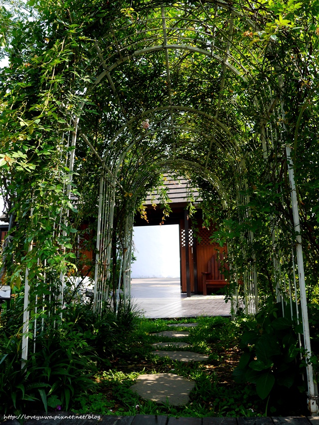 台北花博新生玫瑰園