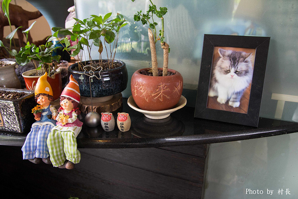 貓居手作料理:【食記】{屏東。東港鎮}無菜單的五星級貓居。手作料理