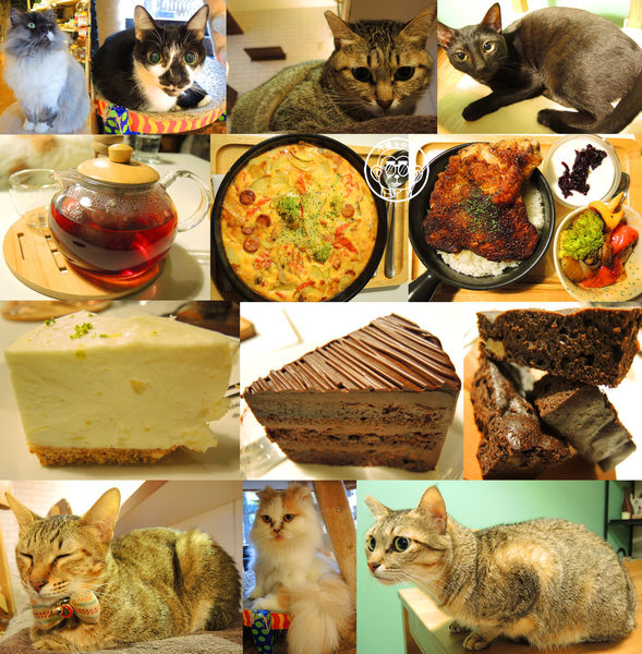 甦活零工坊：呷飽祙【台北大安･甦活零工坊】你是貓派還是狗派呢？