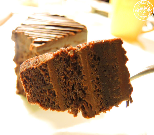 甦活零工坊：呷飽祙【台北大安･甦活零工坊】你是貓派還是狗派呢？