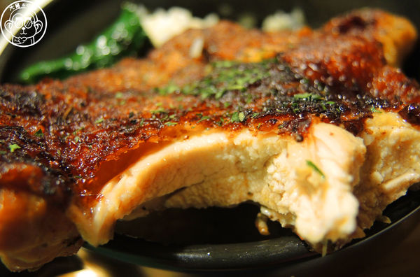 甦活零工坊：呷飽祙【台北大安･甦活零工坊】你是貓派還是狗派呢？