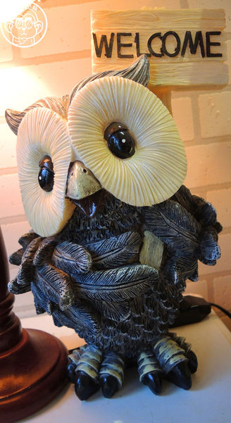 甦活零工坊：呷飽祙【台北大安･甦活零工坊】你是貓派還是狗派呢？