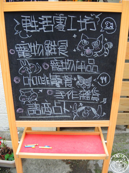 甦活零工坊：呷飽祙【台北大安･甦活零工坊】你是貓派還是狗派呢？