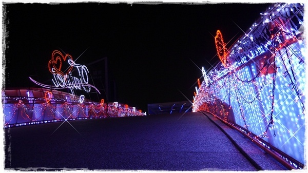 水晶情人橋：【台北◍•ᴗ•◍中山】景點・水晶情人橋・台北燈節✯捷運圓山站浪漫景點「愛．擁抱燈海」｜跨於夜空的浪漫銀河