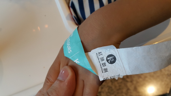 紅頂穀創文創樂園(Red Barn Factory&Tours)：[邀約][高雄][景點]馬玉山紅頂穀創~親子同遊新樂園