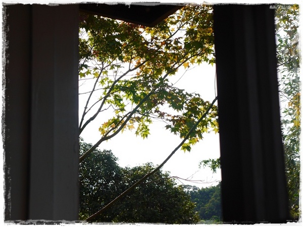 三峽大寮茶文館:【新北◍•ᴗ•◍三峽】大寮茶文館-日式建築喫茶館|一秒到日本,賞楓喫茶趣