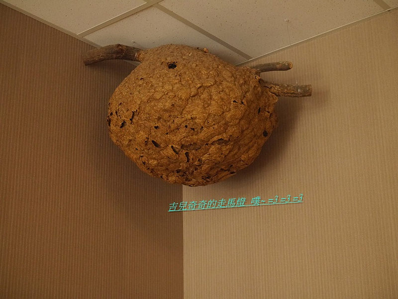 吉仕寶薑黃鳳梨酥