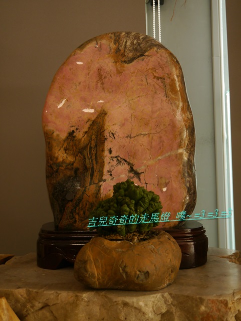 吉仕寶薑黃鳳梨酥