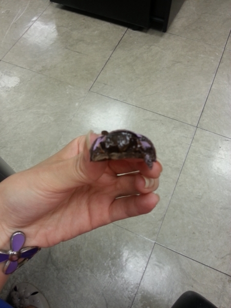 Nina  妮娜巧克力工坊：【伴手禮】超萌龍貓馬卡龍禮盒在Nina妮娜巧克力工坊