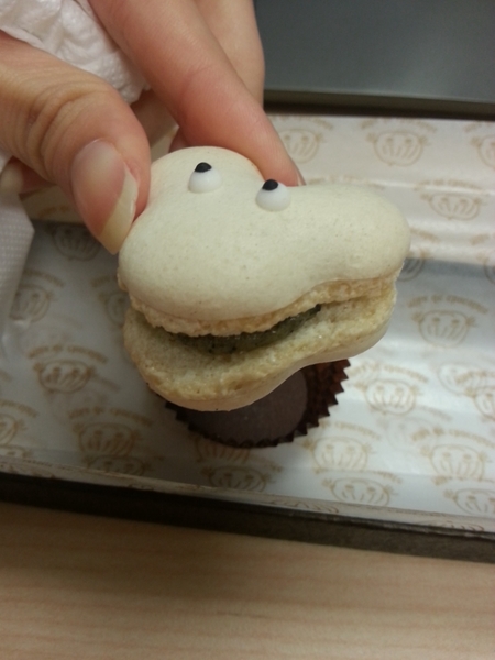 Nina  妮娜巧克力工坊：【伴手禮】超萌龍貓馬卡龍禮盒在Nina妮娜巧克力工坊