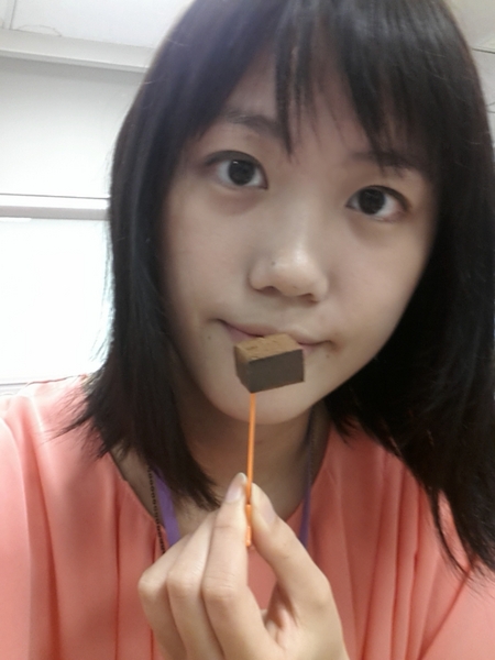 Nina  妮娜巧克力工坊：【伴手禮】超萌龍貓馬卡龍禮盒在Nina妮娜巧克力工坊