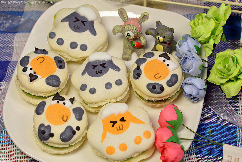 2015.05.15~Nina巧克力工紡 